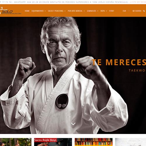 Solo Artes Marciales